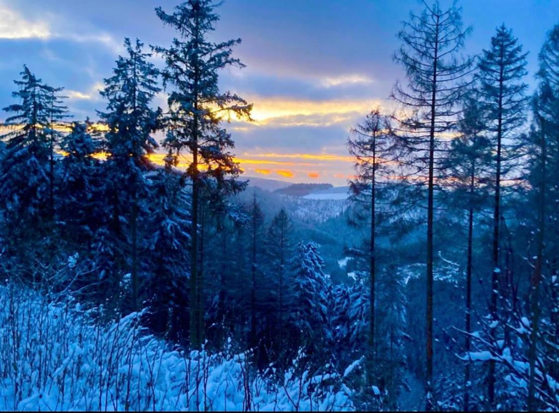 Landhotel Flora & Fauna (Adults Only) Winterberg Eksteriør bilde