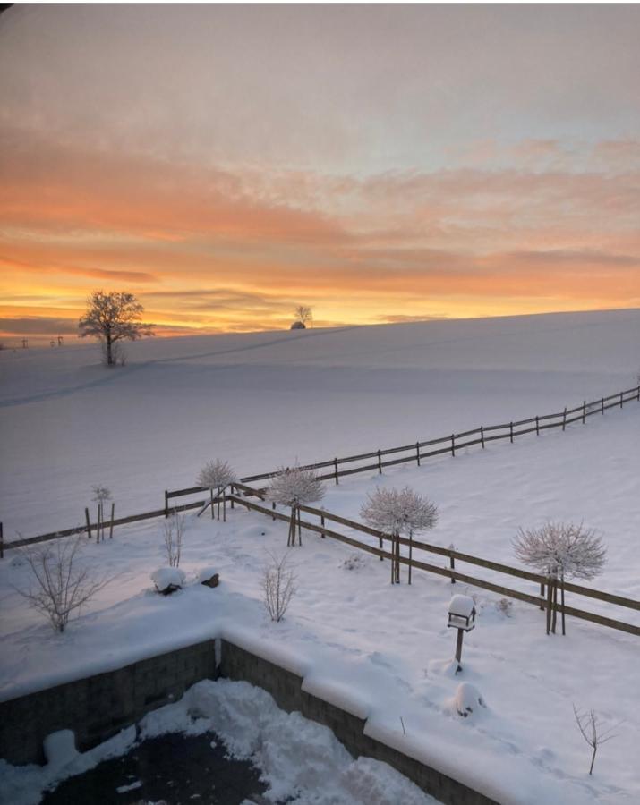 Landhotel Flora & Fauna (Adults Only) Winterberg Eksteriør bilde