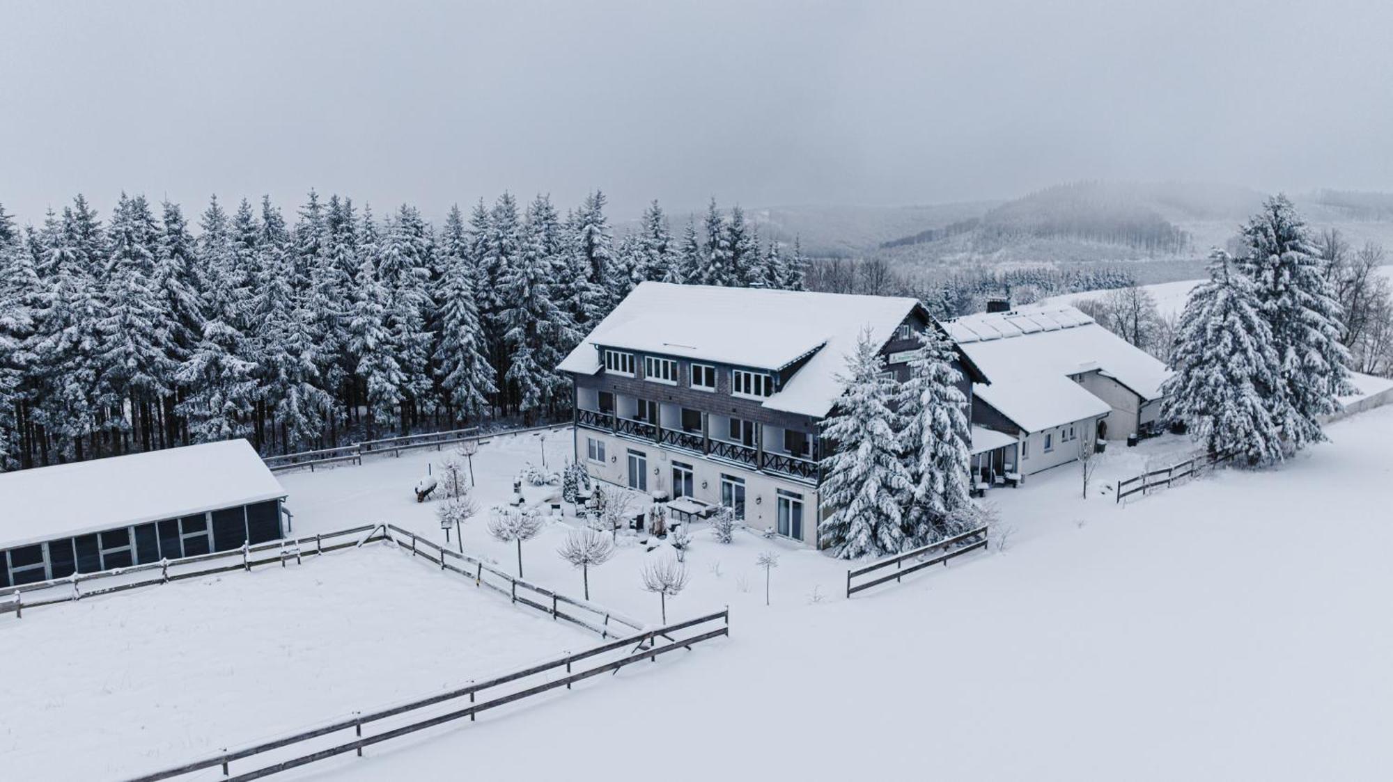 Landhotel Flora & Fauna (Adults Only) Winterberg Eksteriør bilde