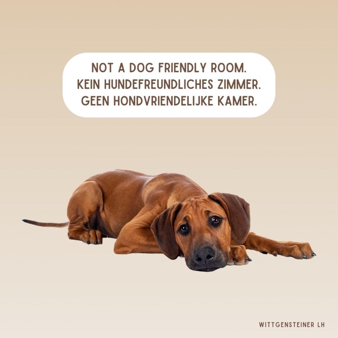 Landhotel Flora & Fauna (Adults Only) Winterberg Rom bilde